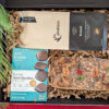 anna-marys-gift-boxes-1-6 Gift Box with 1 lb. Gourmet Nut Cake
